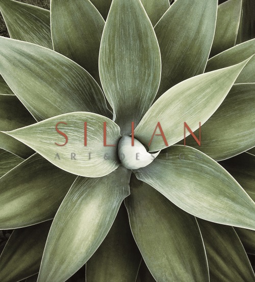 Green Plants