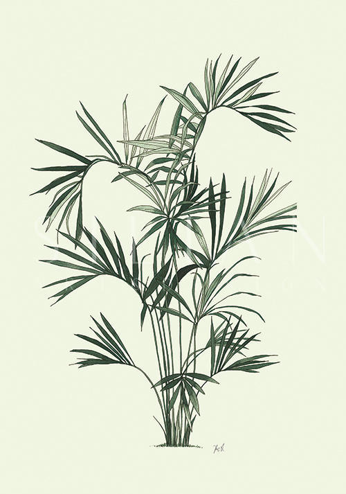 Green Tree VIII