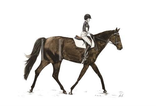 Knight I