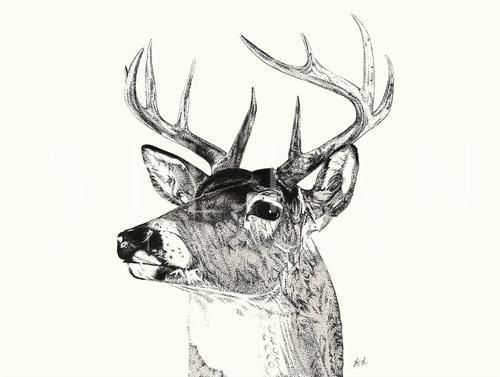 B&W Animal II
