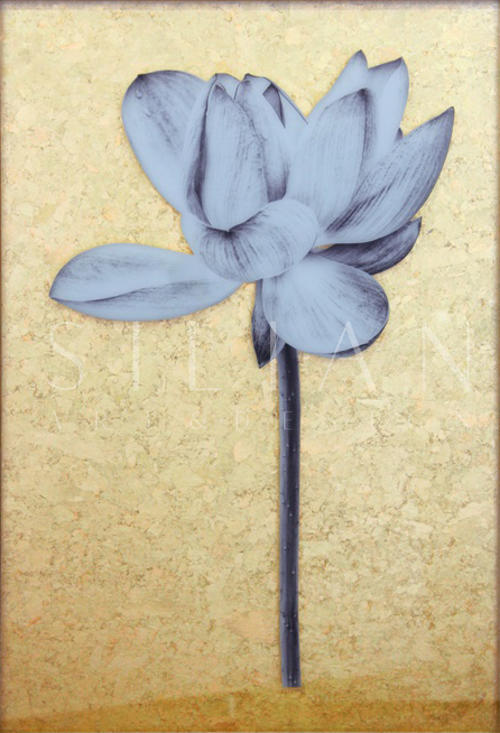 Lotus I