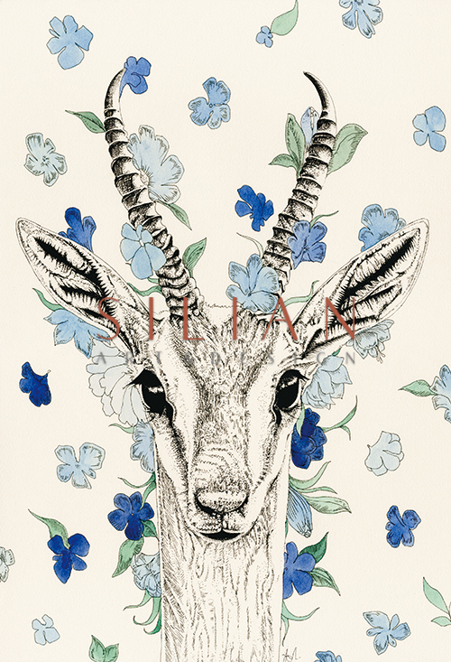 Animal Baby V