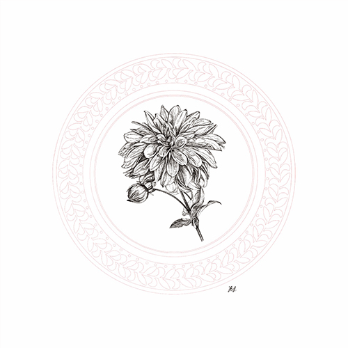 Blooming Ⅴ