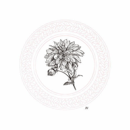 Blooming Ⅴ