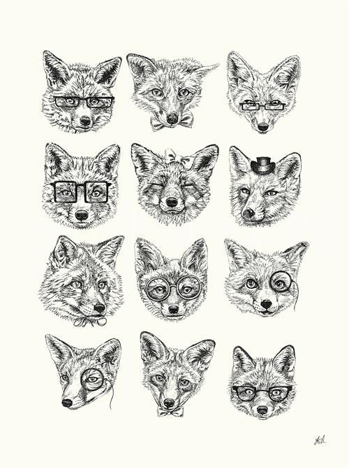 Animal Portrait V