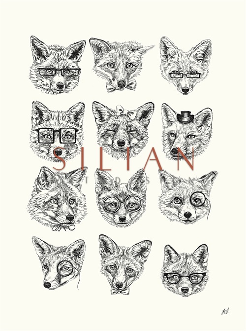 Animal Portrait V