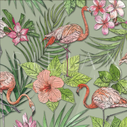 Vivid Flamingo II
