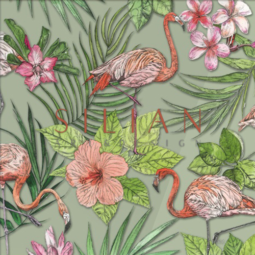 Vivid Flamingo II