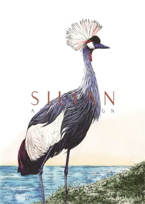 Summer Leisure I