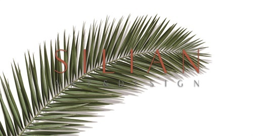 Coconut Leaves