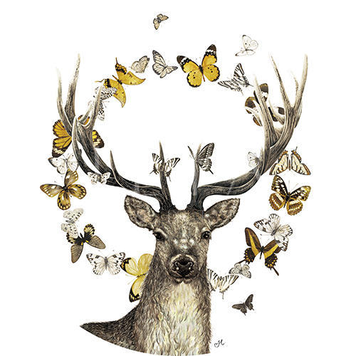 Deer Grace
