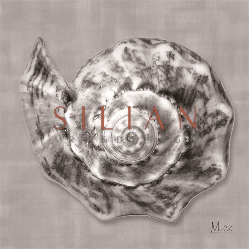 Shell II
