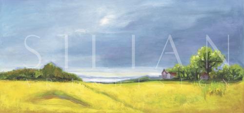 Rural Landscape V
