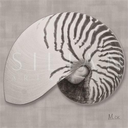 Shell VX