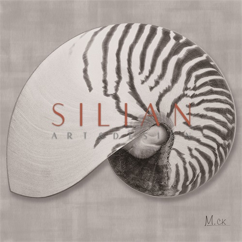 Shell VX