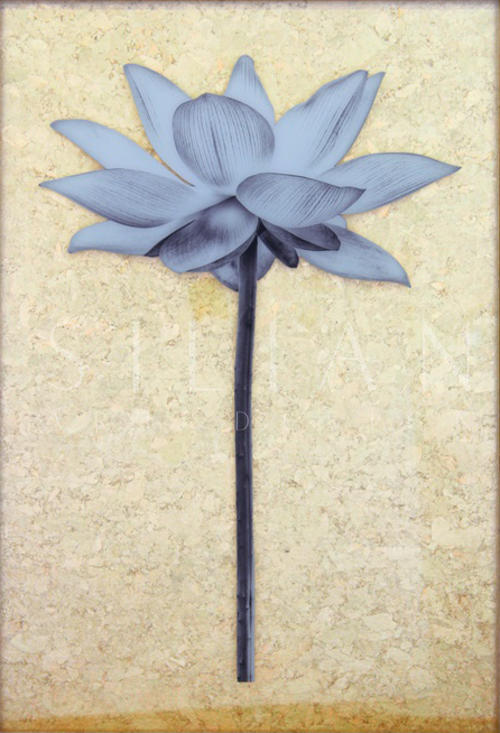 Lotus II
