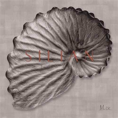 Shell III