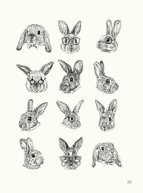 Animal Portrait IV