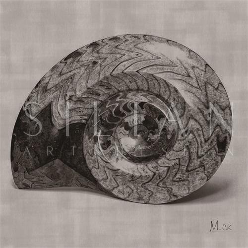 Shell I
