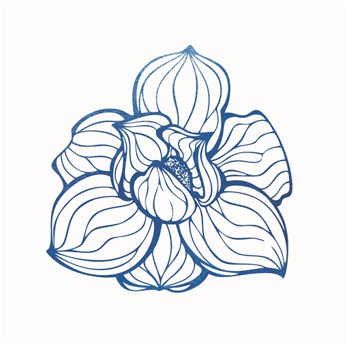 靛蓝花卉 III