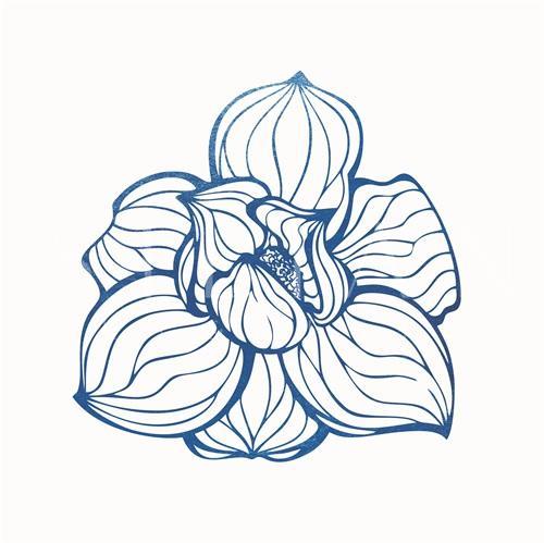 靛蓝花卉 III