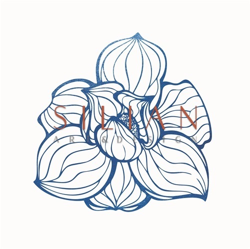 靛蓝花卉 III