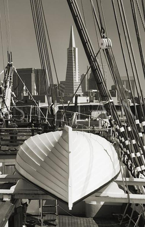 Lifeboat And San Francisco Skyline