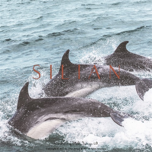 Sea III