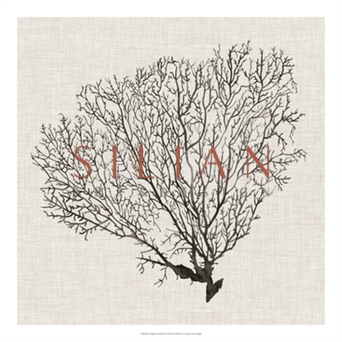 Shadow Sea Fan I