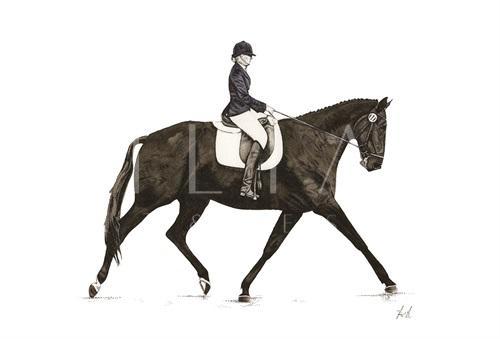 Knight III