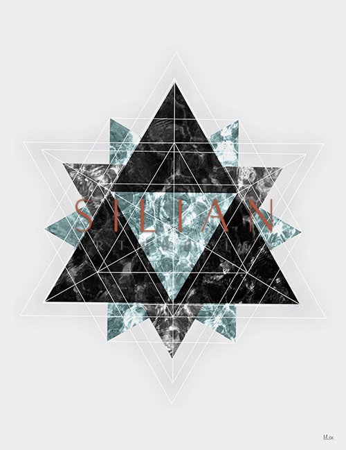 Starry Sky In Snowflake Ⅲ