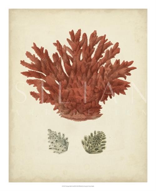 Antique Red Coral II