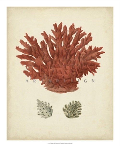 Antique Red Coral II