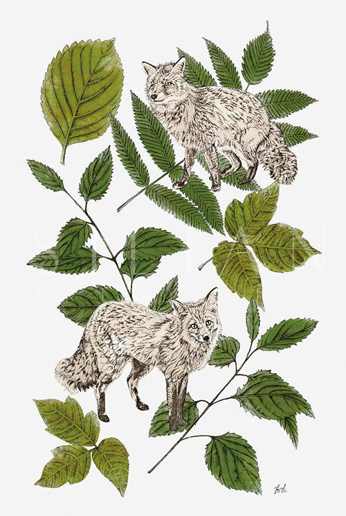 Leaves And Animals Ⅲ