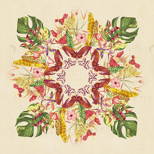 Tropical Mix II