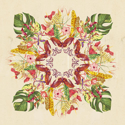 Tropical Mix II