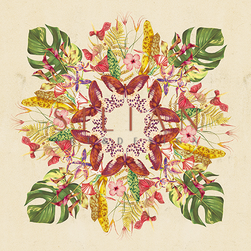 Tropical Mix II