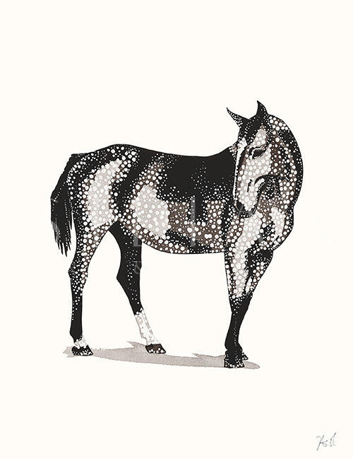 Paty Animal I