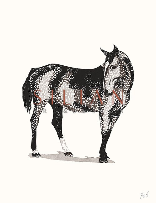 Paty Animal I