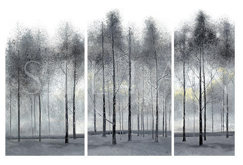 Misty Forest