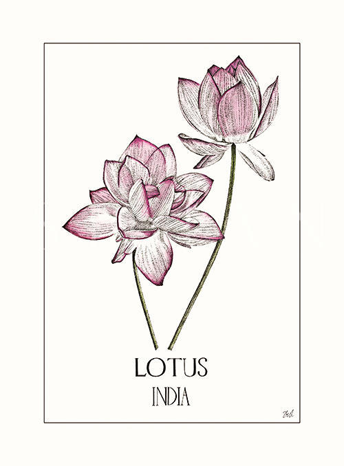 Flower Tone Ⅱ