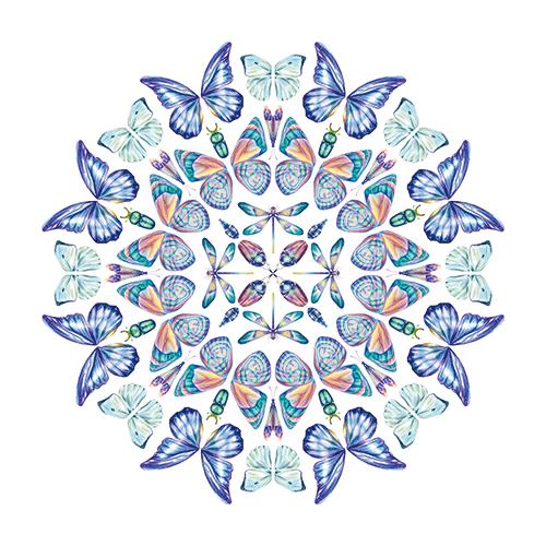 Wings of Splendor I