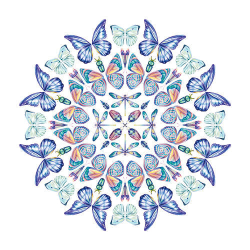 Wings of Splendor I