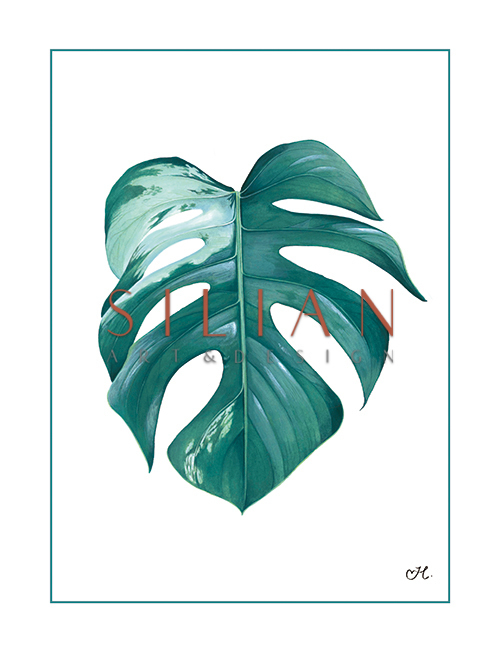 Sounds Of Nature IV