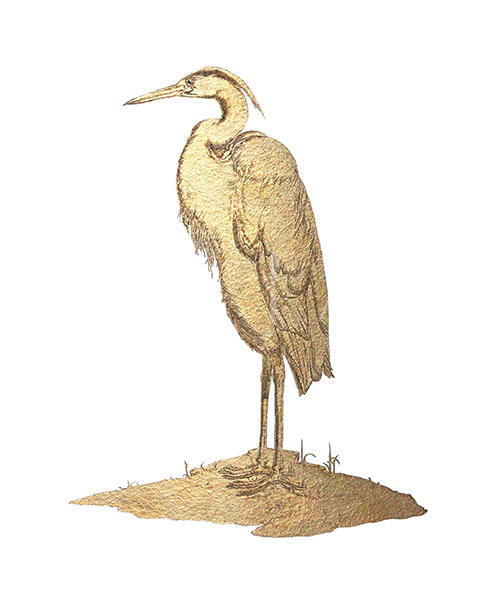 Golden Bird Ⅰ