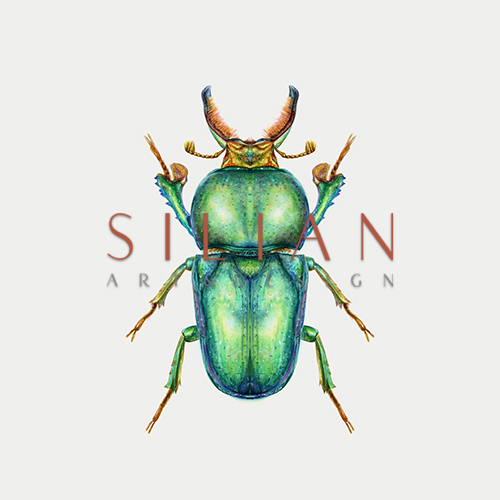 Wonderful Insect II