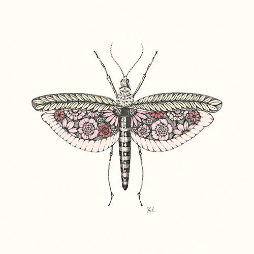 Insect Tale Ⅵ