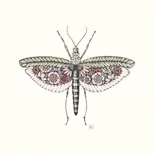 Insect Tale Ⅵ