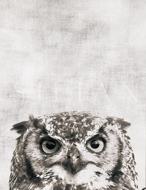 Sounds of Nature Ⅷ