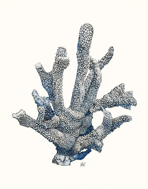 Coral Gesture Ⅵ